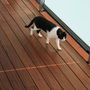 Terrassendielen Iroko Kambala Lemontree