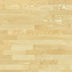 9051_thumb